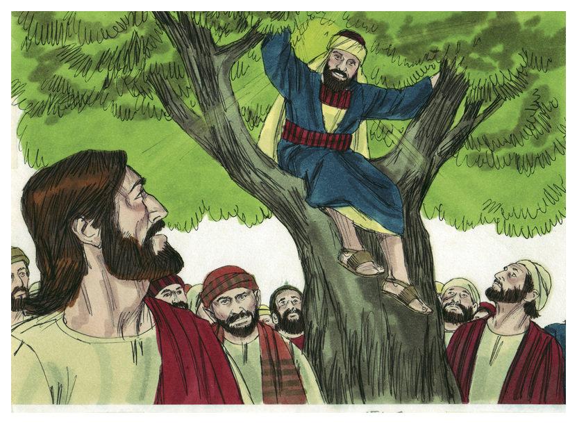 The Story of Zacchaeus- Incredible Revelation