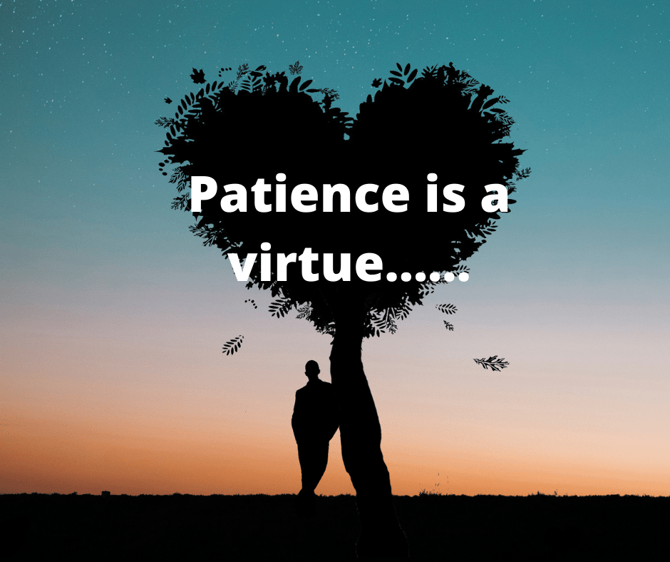 patience-as-a-superpower-unleashing-its-potential-for-success-and