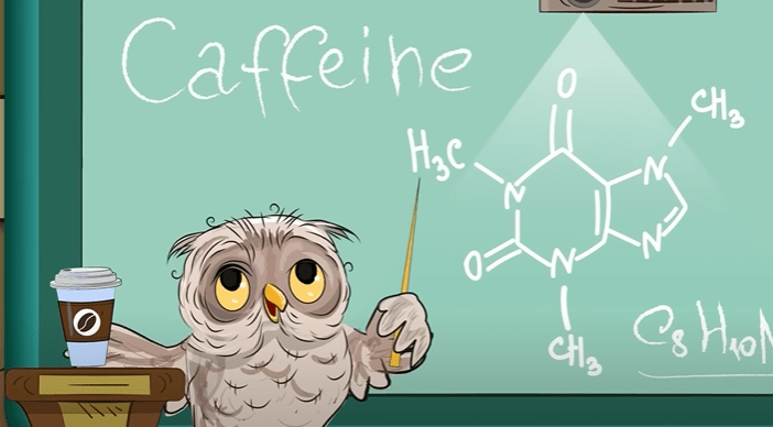 Inessa Lee - Coffee Face | Owl Cartoon Video
