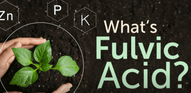 Fulvic Acid - The Miracle Supplement You Didn't Know You Needed. #fulvicacid #humicacid
