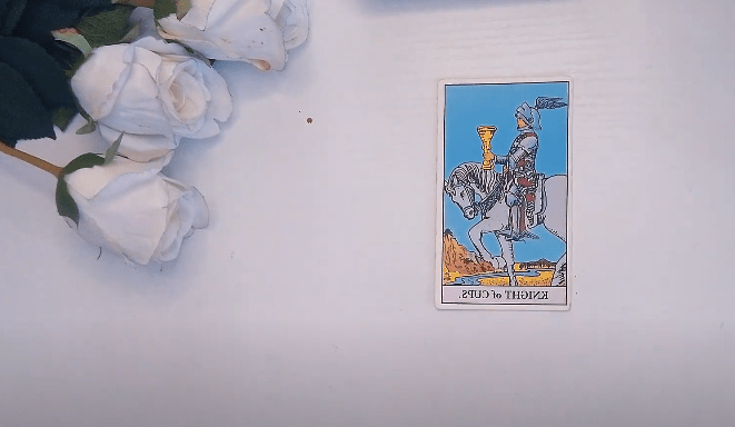 Tarot Luz Divina